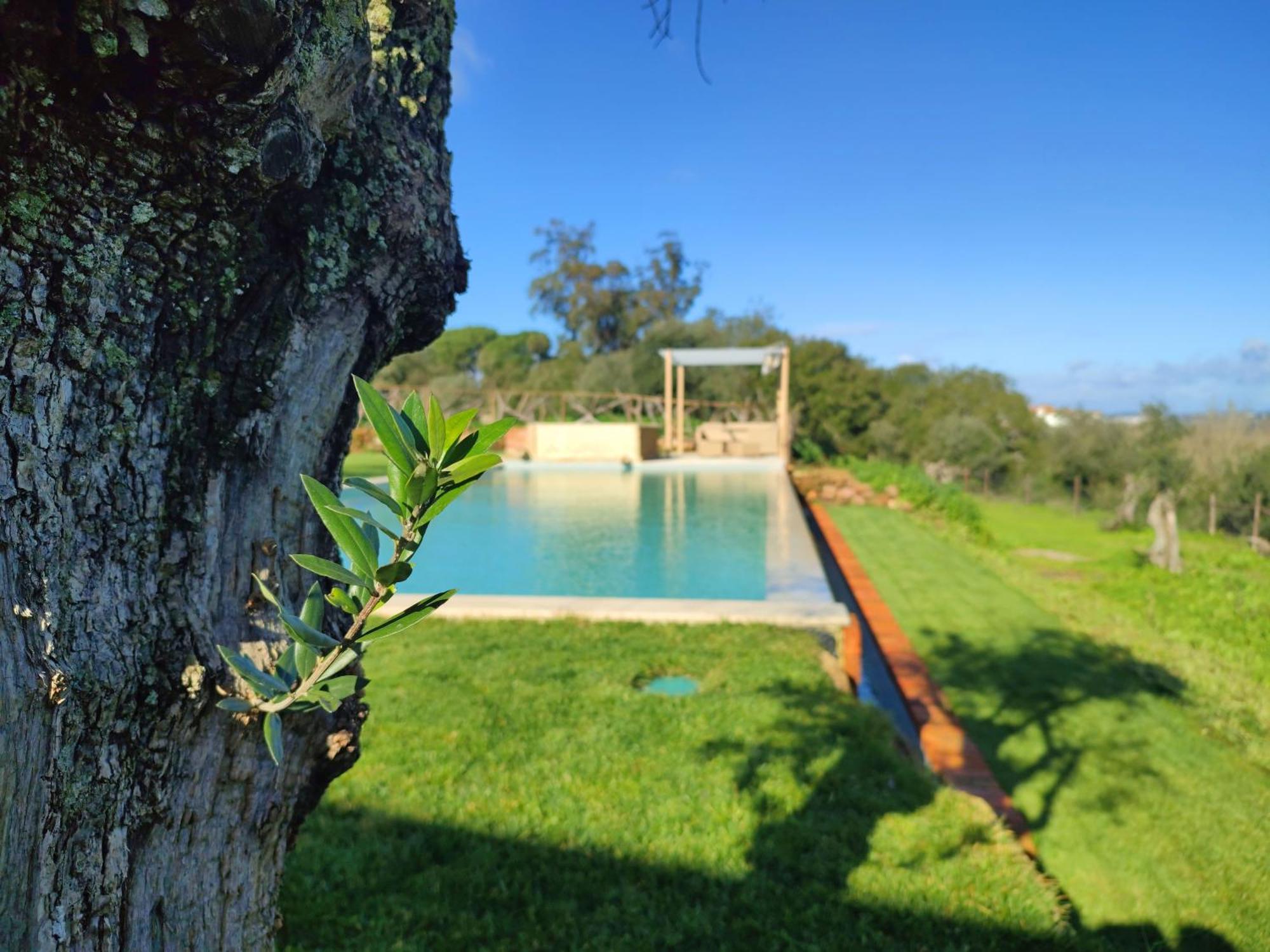 Quinta De Matrena Villa Macieiros Ngoại thất bức ảnh